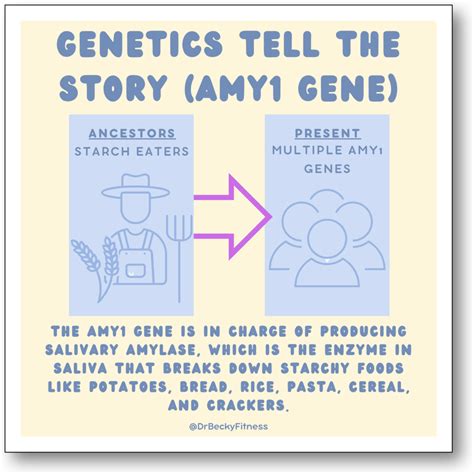 Test Your Carb Tolerance with a Saltine Cracker? - Dr Becky Fitness
