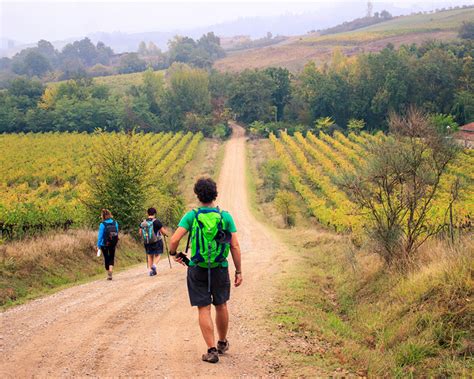 Discover Via Francigena In Rome: The Forgotten Pilgrim Path