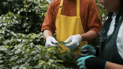 About Us – Zeroharm