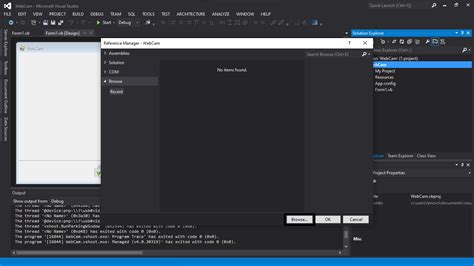AForge.NET Camera Tutorial VB.NET 的图像结果