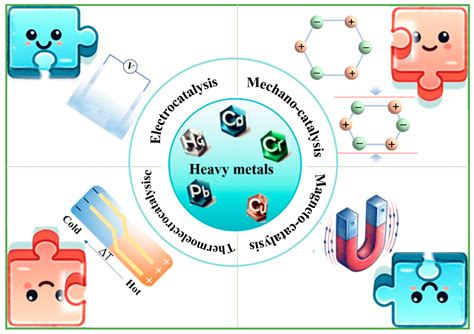 Emerging Catalytic Strategies Driven by External Field for Heavy Metal ...