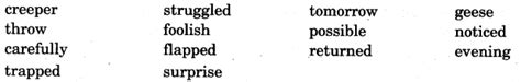 NCERT Solutions for Class 5 English Unit 2 Chapter 2 Flying Together ...