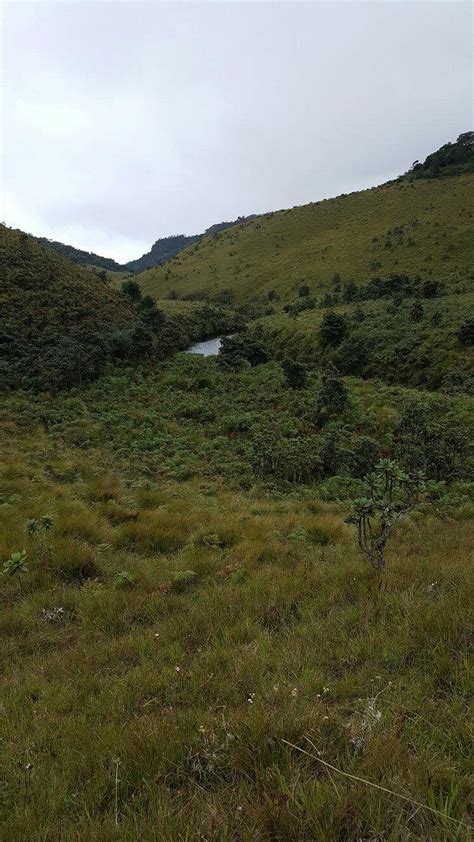 RIVERSTON ECHO LODGE (Matale) - Lodge Reviews & Photos - Tripadvisor