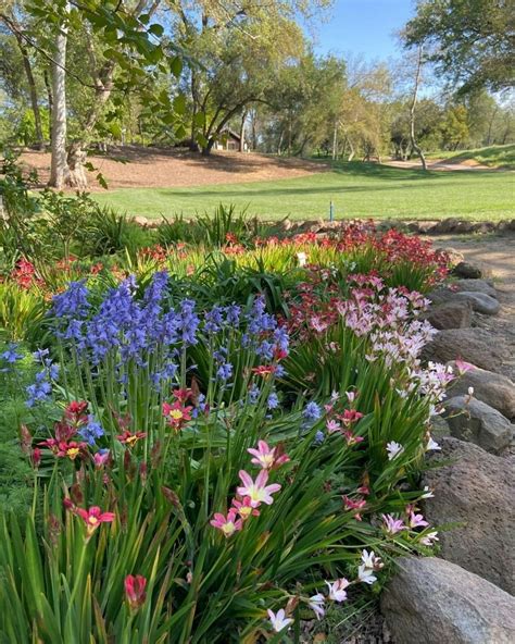 Jensen Botanical Garden - Carmichael Recreation and Park District