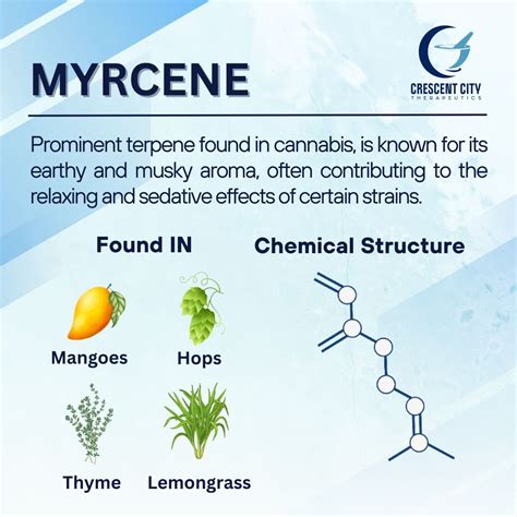 Crescent City Therapeutics on LinkedIn: Terpene Spotlight! Dive into ...