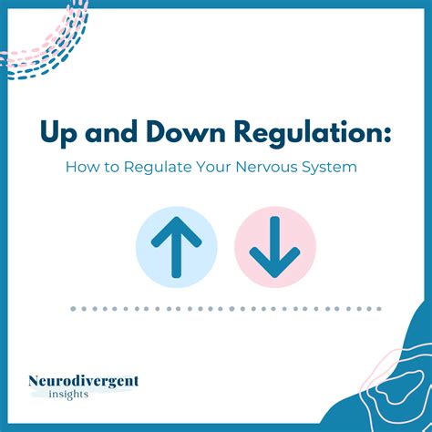 Up and Down Regulation: How to Regulate Your Nervous System ...