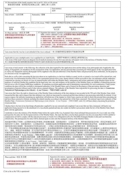 中国签证申请表Word模板下载_编号lmmkrajz_熊猫办公