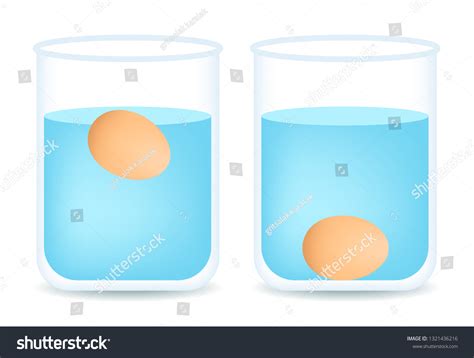 229 Egg floating in water Stock Illustrations, Images & Vectors ...