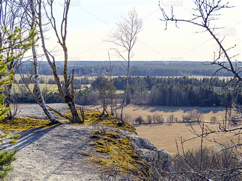 月球 的图像结果