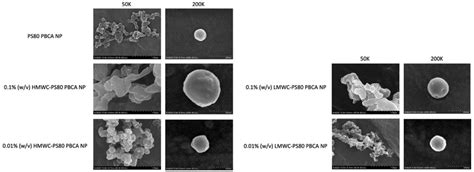 Characterization and Optimization of Chitosan-Coated ...
