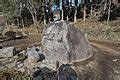Image result for Grade 4 Module 6 Lesson 12 Homework
