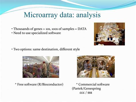 Microarray Data 的图像结果