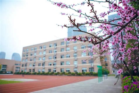 温州外国语学校状元分校今秋投用 施教区域看这里_瓯江新闻