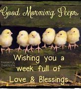 Image result for Good Morning with Chickens