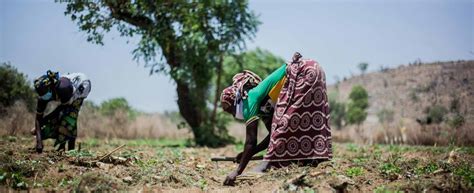 Beyond \\\\\\\\\\\\\\\'Participation ...