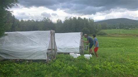 Our Pasture-Based System — Rocky Hill Farm