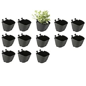BEEYA GARDENING® Pack of 13 Vertical Garden - Wall Hanging Pot (5 inch ...