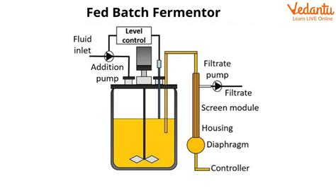 Image result for Continuous Fermentation