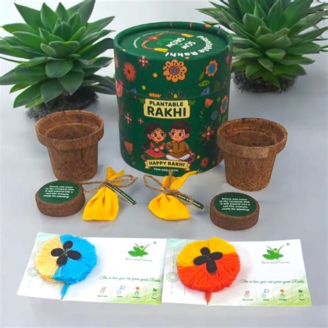 2-Pack Plantable Rakhis with Torai Seeds – Dual Colour Thread Rakhis ...