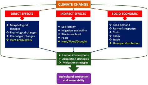 Impact of Climate Change on Crops Adaptation and Strategies to Tackle Its Outcome: A Review