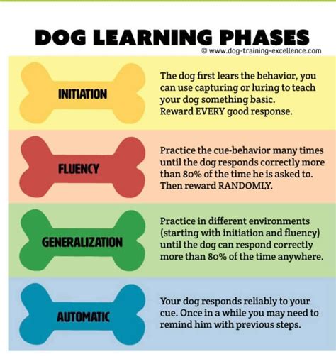 Image result for Dog Learning