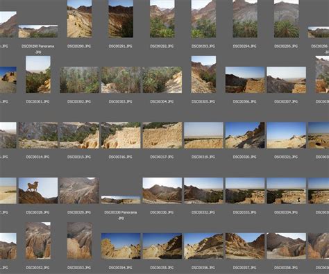 Image result for Oasis Texture Pack Download for Minecraft Java Edition