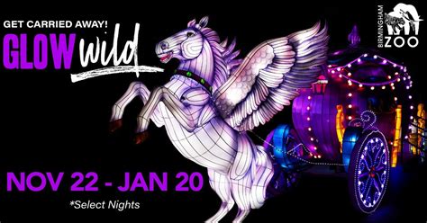 Glow Wild at the Birmingham Zoo, 2630 Cahaba Rd, Birmingham, AL, United ...