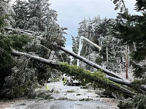 TILLAMOOK PUD: Crews Work Through Night to Restore Power During Ice ...