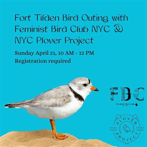 Fort Tilden Bird Outing with Feminist Bird Club NYC & NYC Plover ...