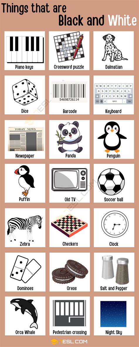 Rectangular Things Black And White