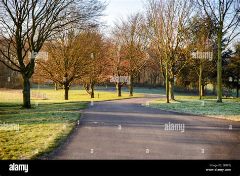 Nature Trail 的图像结果