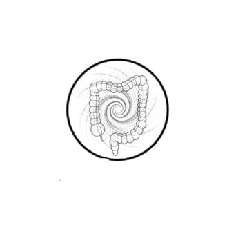Gastroenterology (Medical and Surgical) DrNB/DNB Question Papers (Year ...
