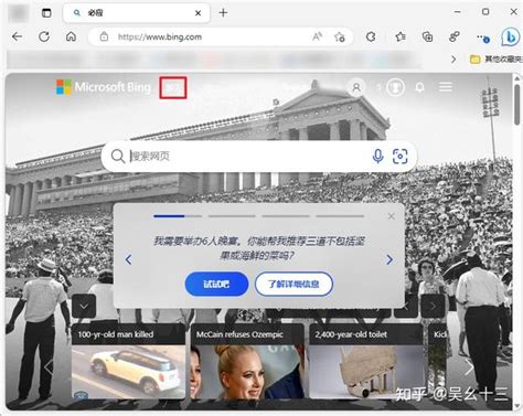 新必应 的图像结果