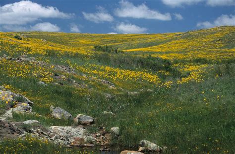 Oklahoma's Secret Wildlife Refuge With Ancient Peaks And Bison | TouristSecrets