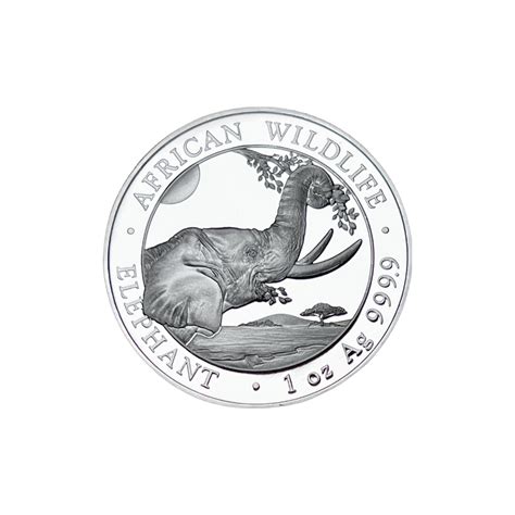 Wasmo Somali Telegram Link: Your Ultimate Guide