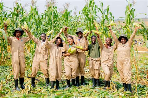 News - RICA: Rwanda Institute for Conservation Agriculture