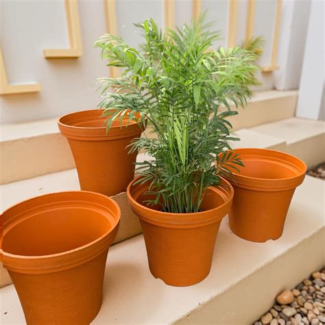 Buy Planters & Flower Pots Online | Stylish Indoor & outdoor designs ...