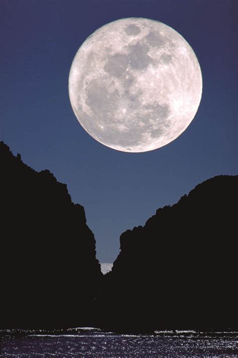 2020超级月亮：注意！四月的“粉红月亮”将在本周出现|超级月亮|月亮|满月_新浪新闻