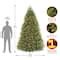 9ft. Pre-Lit Dunhill® Fir Tree Artificial Christmas Tree, Clear Lights ...