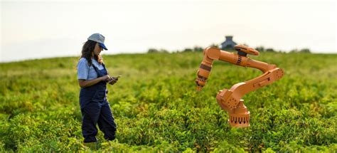 Rob the Robot Farm 的图像结果