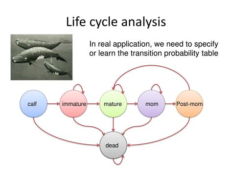 Markov Chain Tutorial 的图像结果