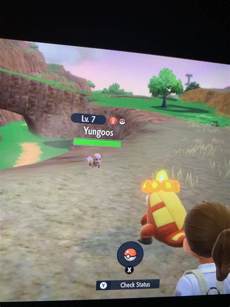 First day. Uno, dos, tres, quatro : r/PokemonScarletViolet