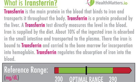 What is Transferrin? High and low values | Lab results explained