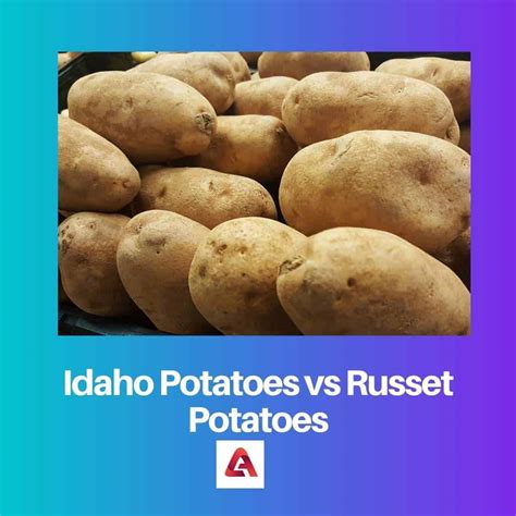 Idaho vs Russet Potatoes: Sự khác biệt và so sánh
