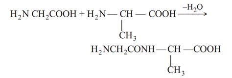 In the given reaction, Name the dipeptide which is formed in the above ...