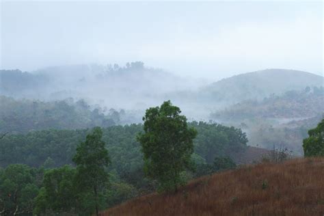 Gundimane Homestay, Shimoga - Homestay Advisor