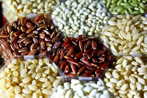 Types of Rice: Popular Rice Varieties from the North Indian Kitchen ...