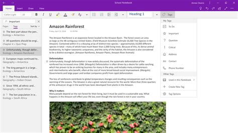 Image result for OneNote 2019 Desktop