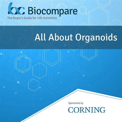 Download Organoid e-book | Corning Life Sciences