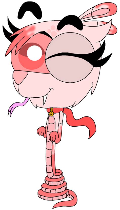 Image result for Python Live Feeds Rabbit